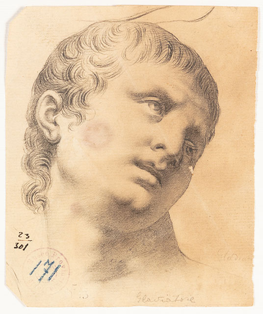 testa di gladiatore