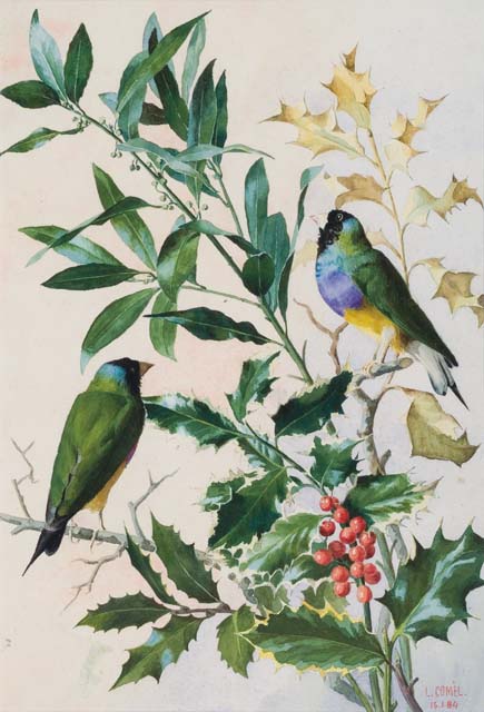 Opere di Giuditta Paulini