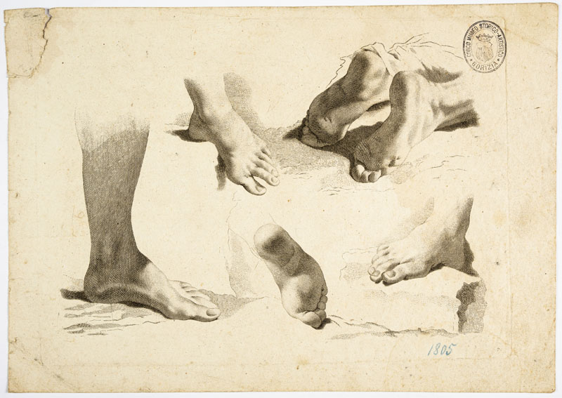 studi anatomici: piedi