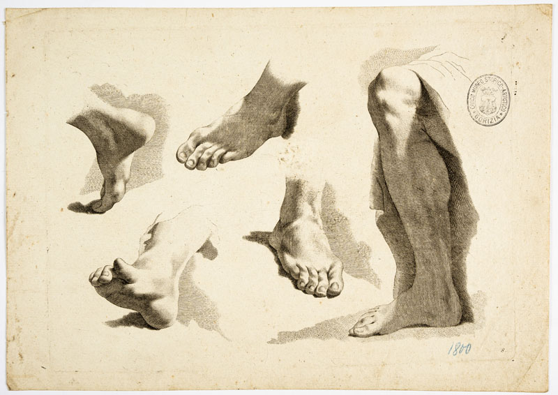 studi anatomici: piedi