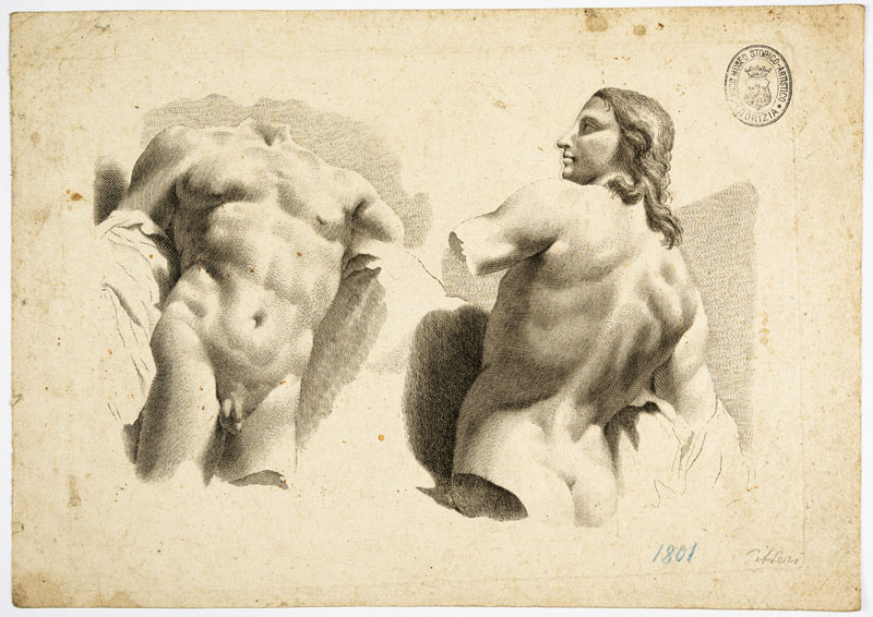 studi anatomici