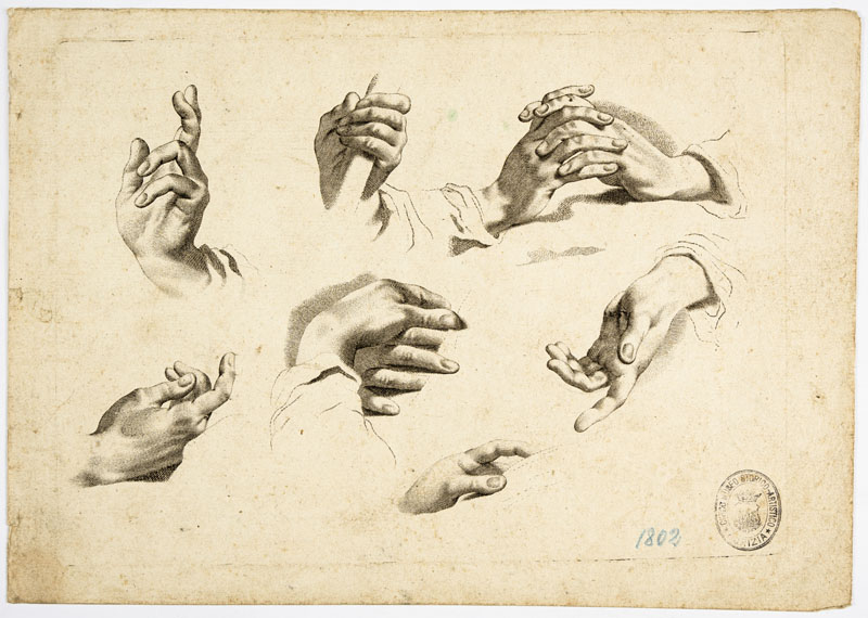 studi anatomici: mani