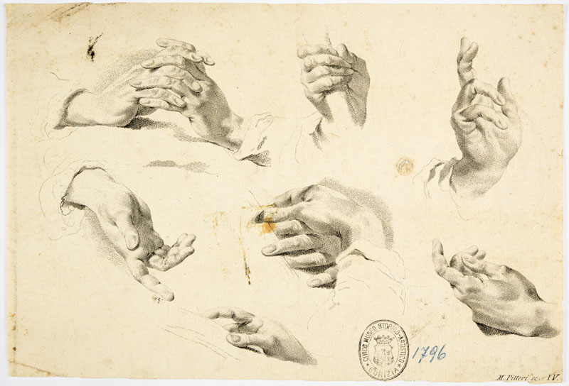 studi anatomici: mani