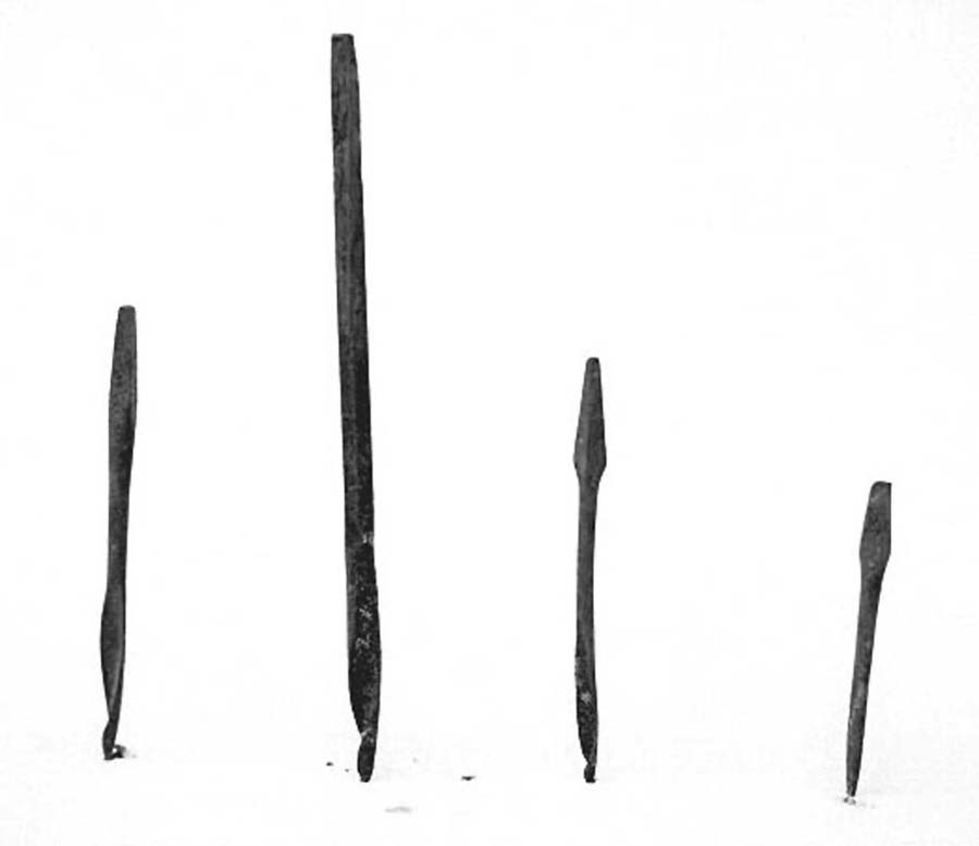 trivella