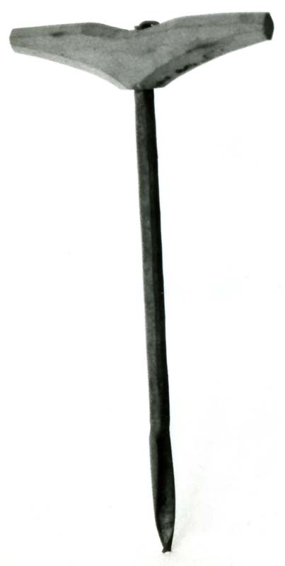 succhiello