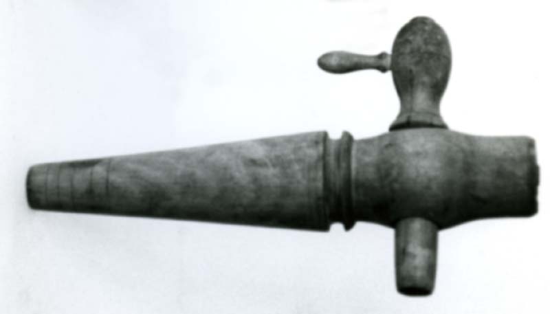spina