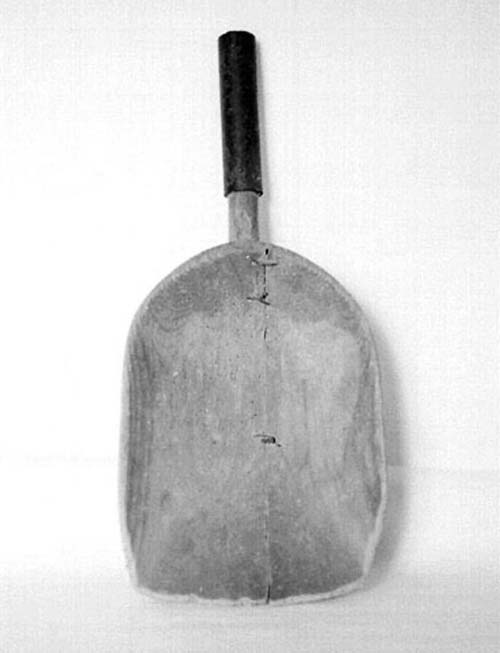 paletta