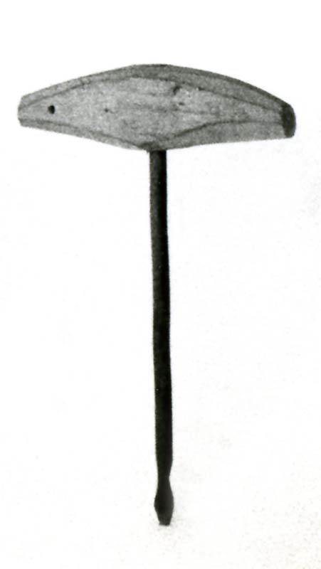 succhiello