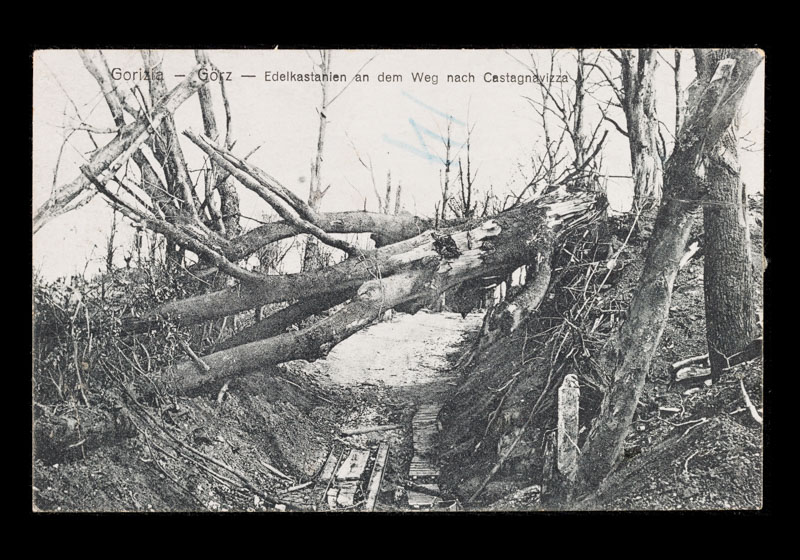 Grande Guerra a Gorizia