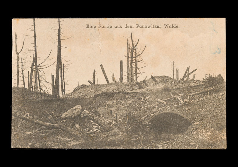 Grande Guerra a Gorizia