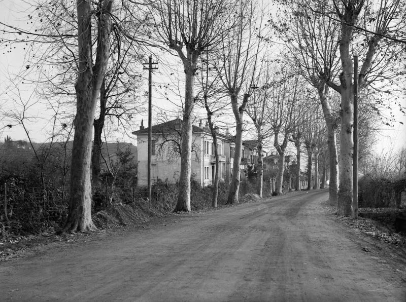 Cartoline da Gorizia