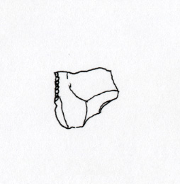 raschiatoio/ laterale