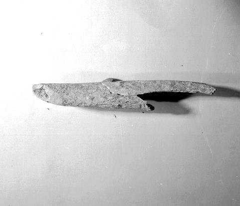 sgorbia