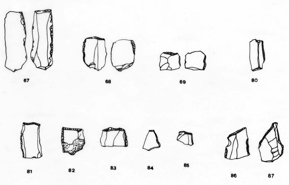 lama/ a dorso e troncatura/ serie