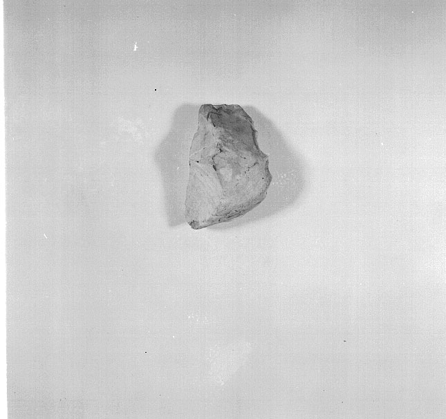raschiatoio/ carenoide