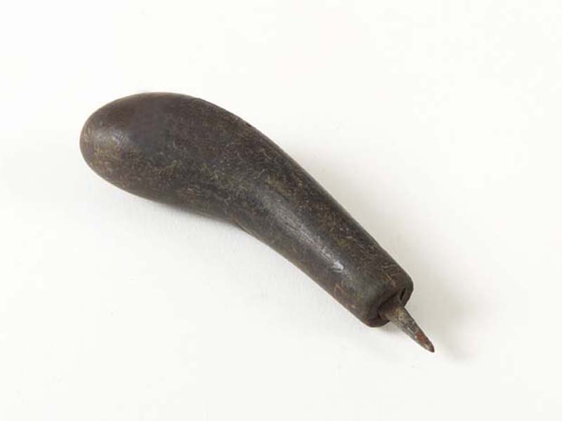 punteruolo