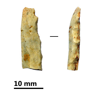 Reperti dalle grotte di Pradis