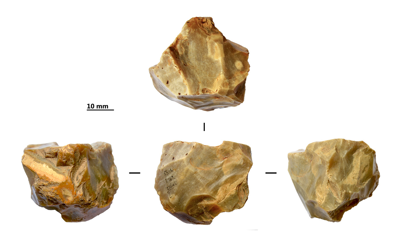 Reperti dalle grotte di Pradis