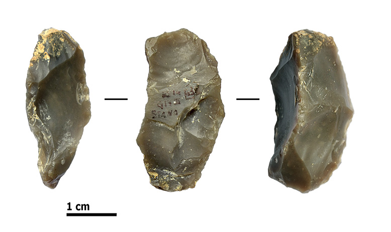 Reperti dalle grotte di Pradis