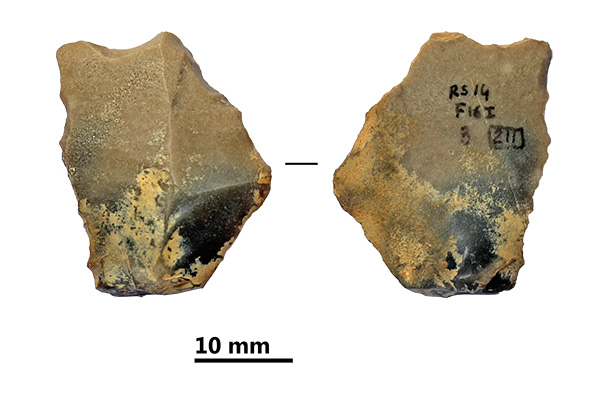 Reperti dalle grotte di Pradis