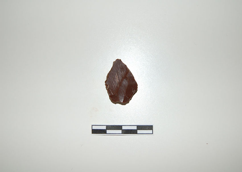 Reperti dalle grotte di Pradis