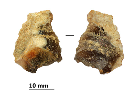 Reperti dalle grotte di Pradis