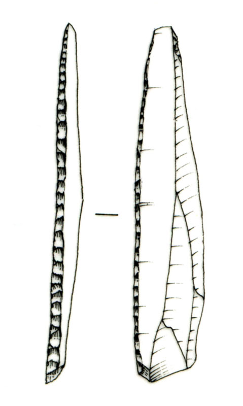 Reperti dalle grotte di Pradis