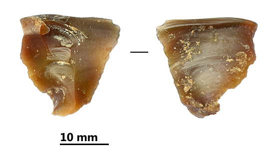 Reperti dalle grotte di Pradis