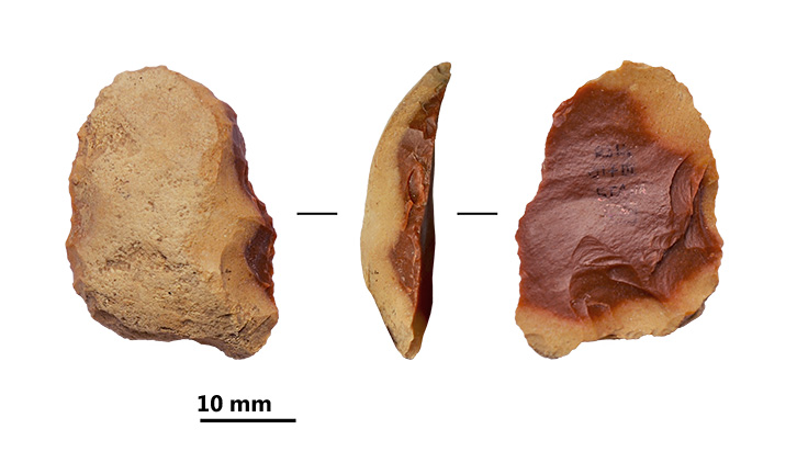 Reperti dalle grotte di Pradis