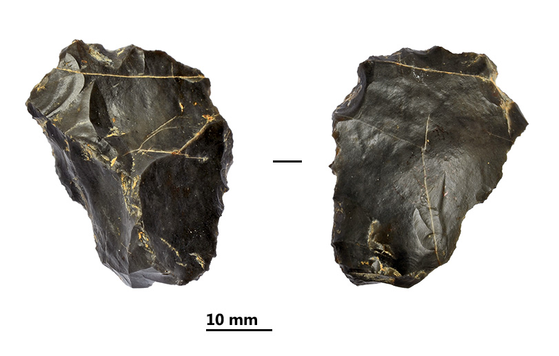 Reperti dalle grotte di Pradis