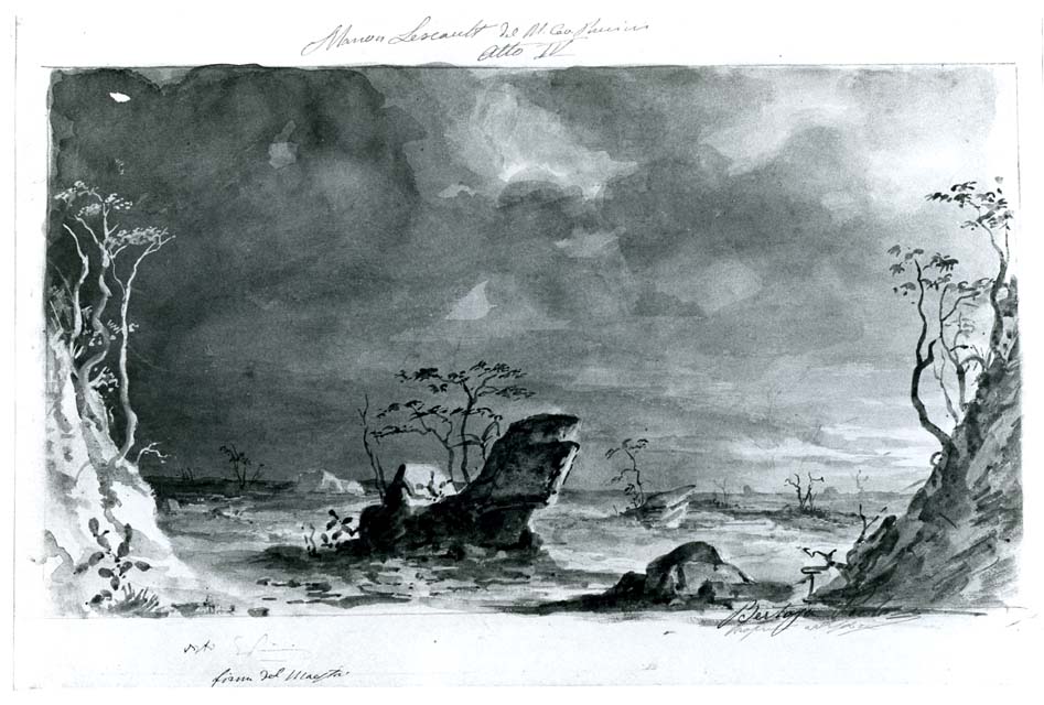 paesaggio con alberi