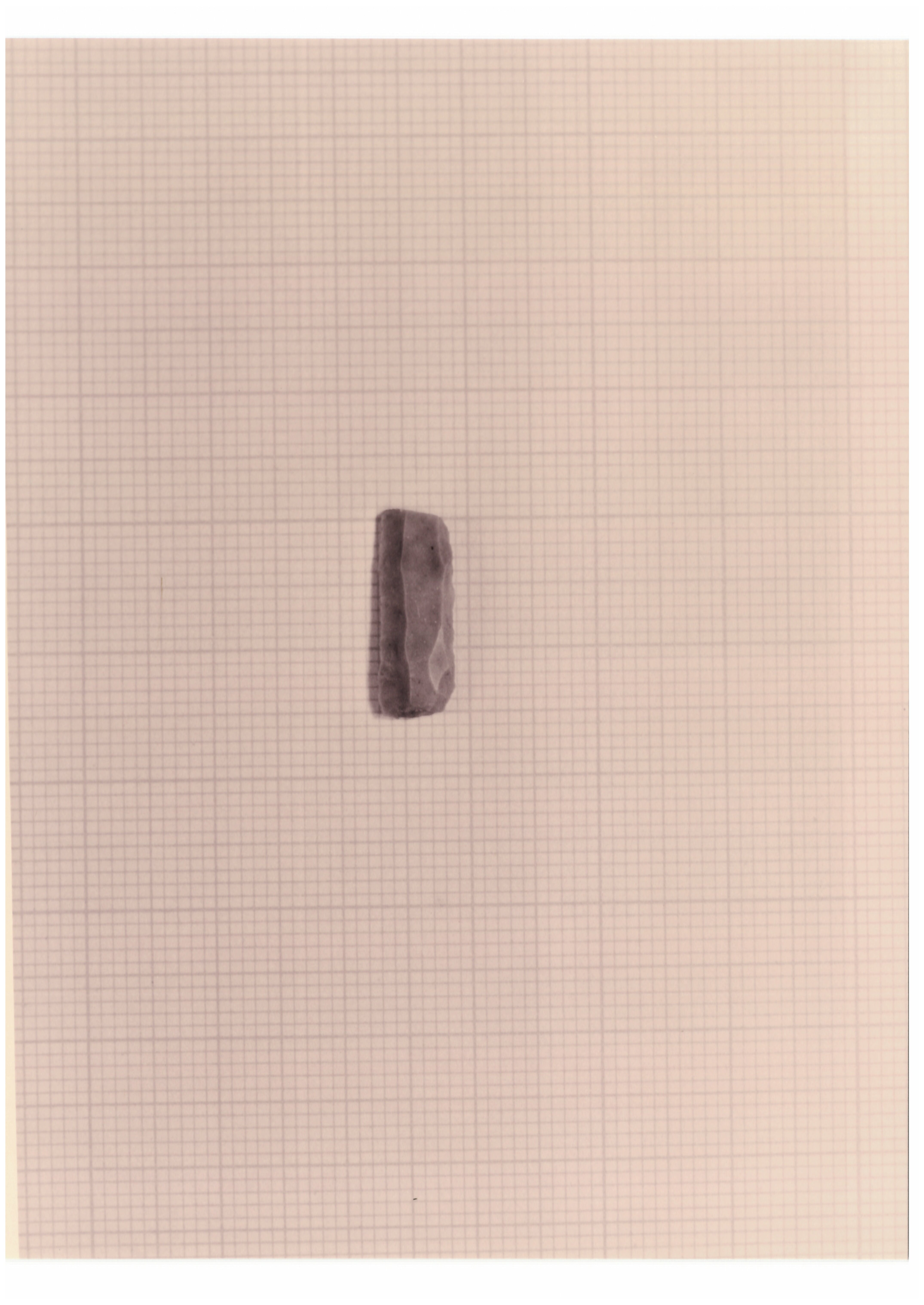lama/ a dorso