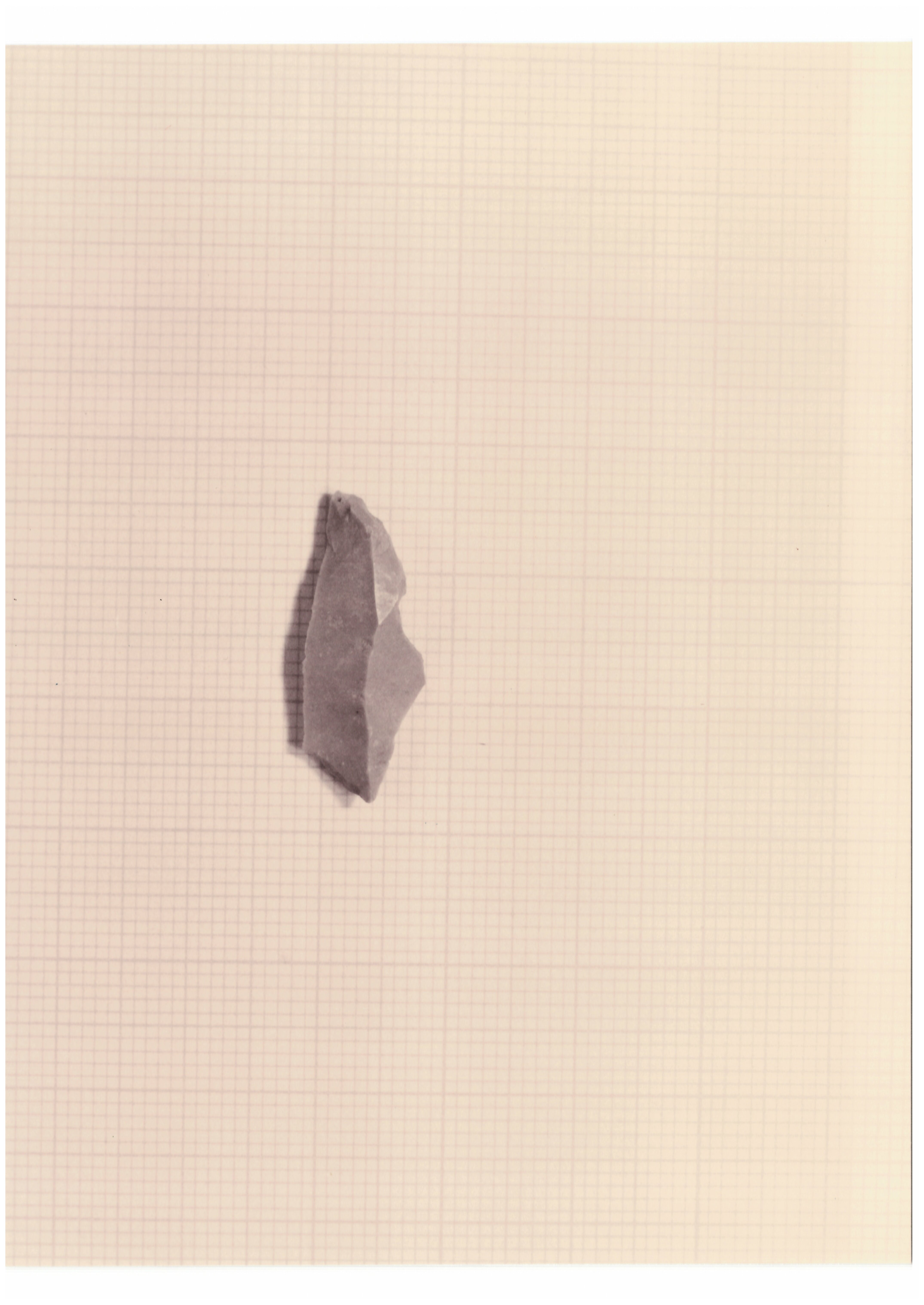microbulino