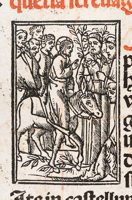 entrata di Cristo in Gerusalemme