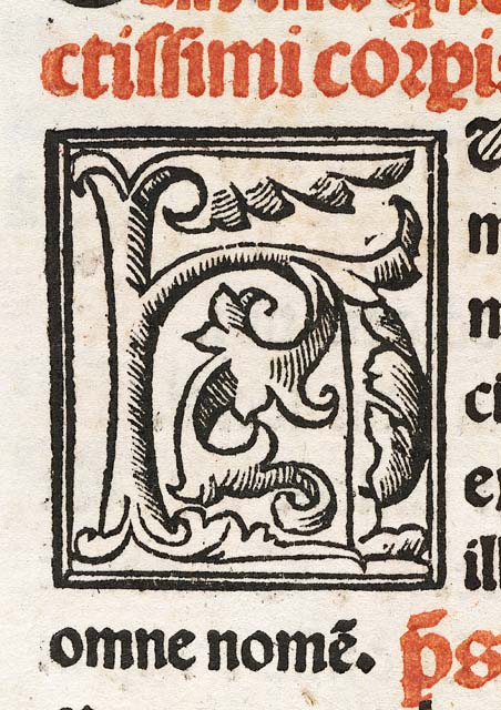 lettera iniziale ornata: H