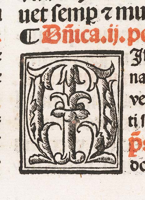 lettera iniziale ornata: M