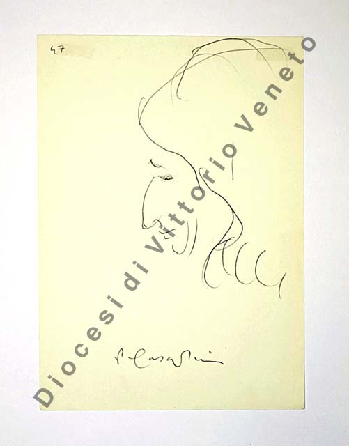 testa di donna