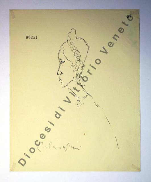 testa di donna