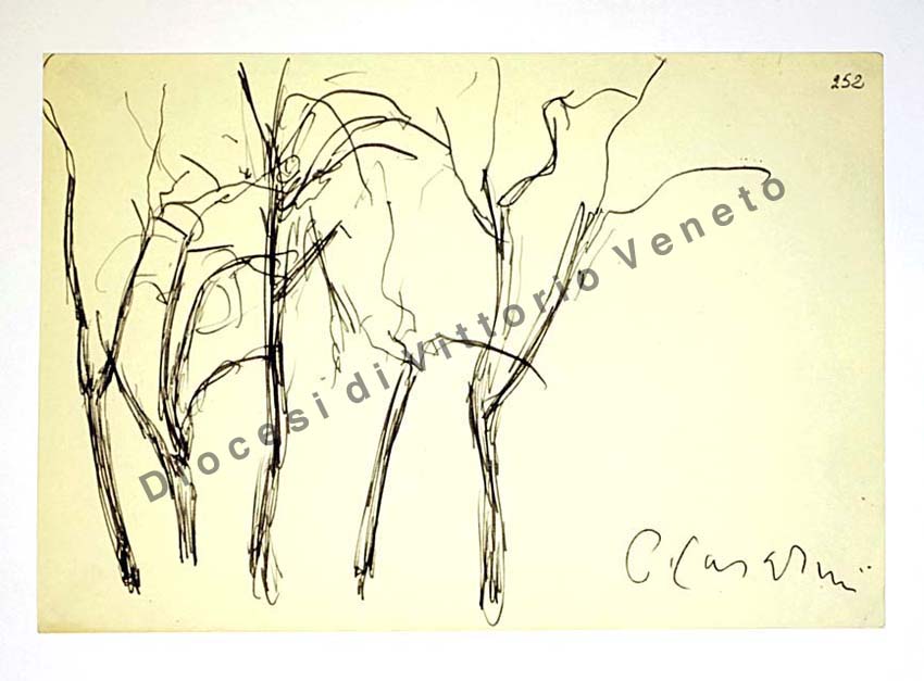 alberi