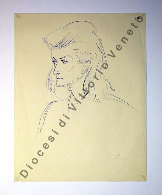 testa di donna