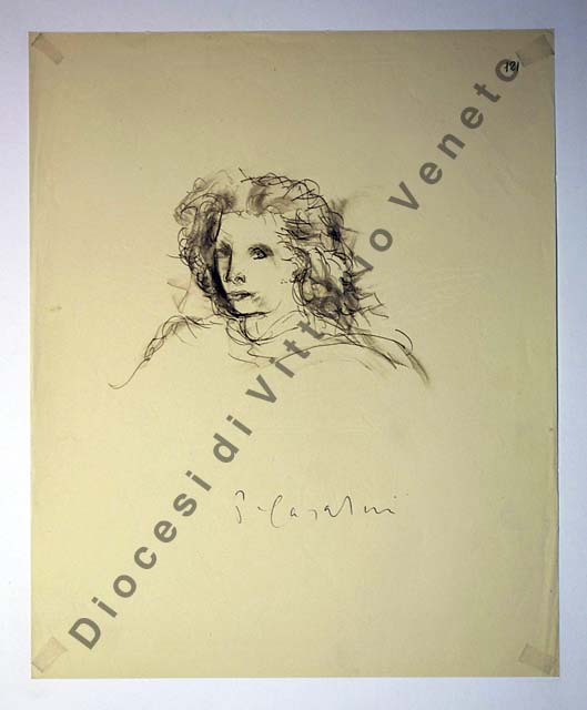 testa di donna