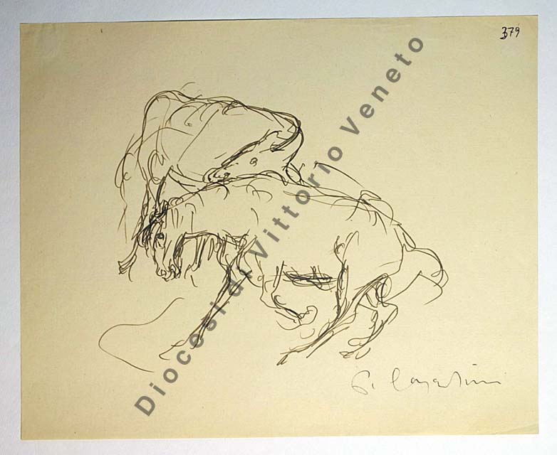 animali: cavalli