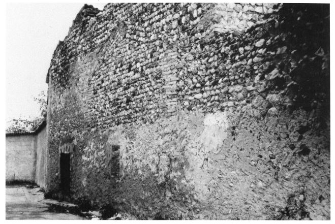 immagine digitale