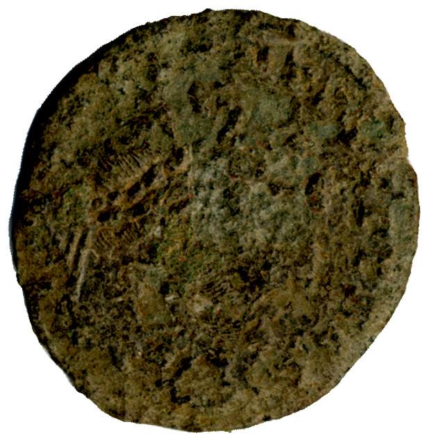 follis