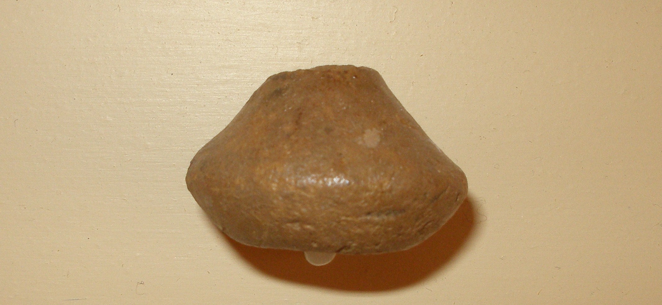 fuseruola/ biconica