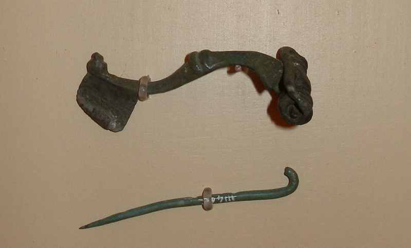fibula