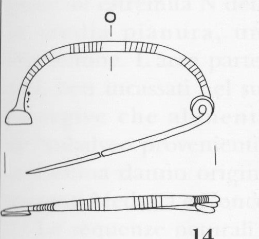 immagine digitale