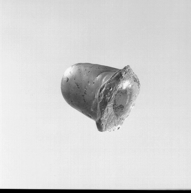 fotografia b/n