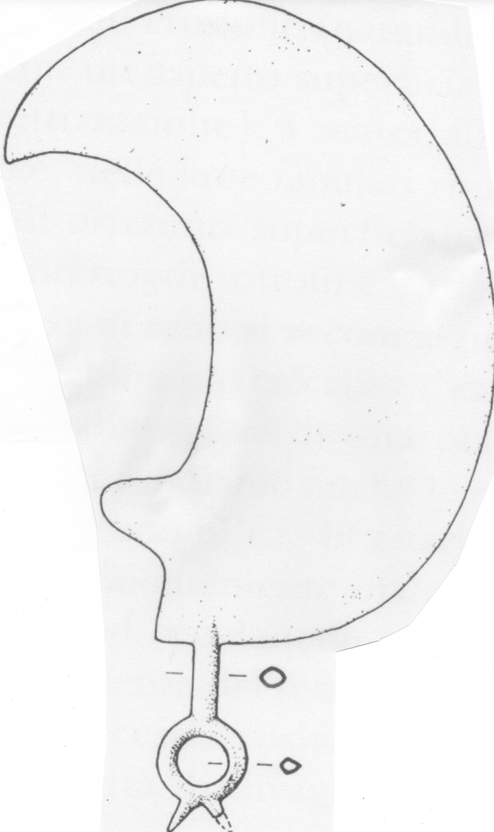 immagine digitale