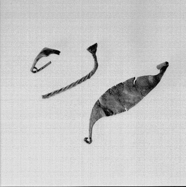 fibula/ a losanga